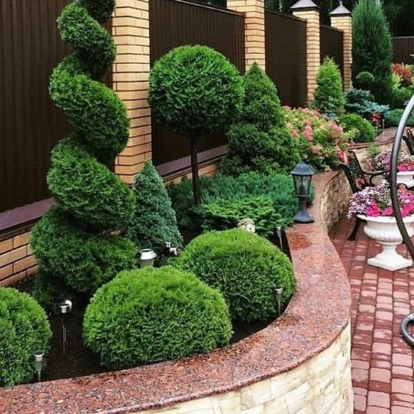 coupe de cheveux bouclés de conifères