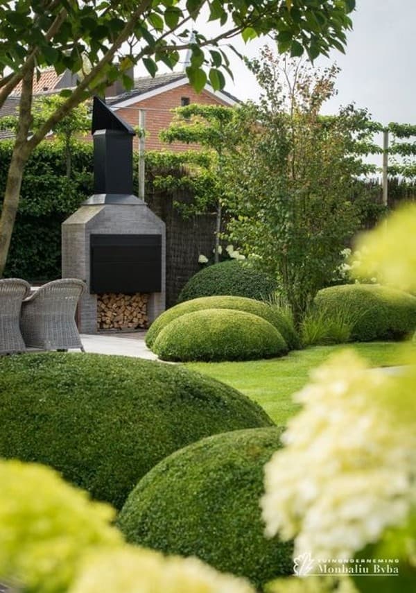coupe de cheveux bouclés de conifères