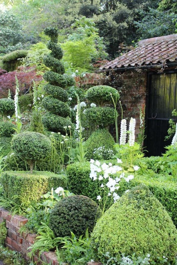 coupe de cheveux bouclés de conifères