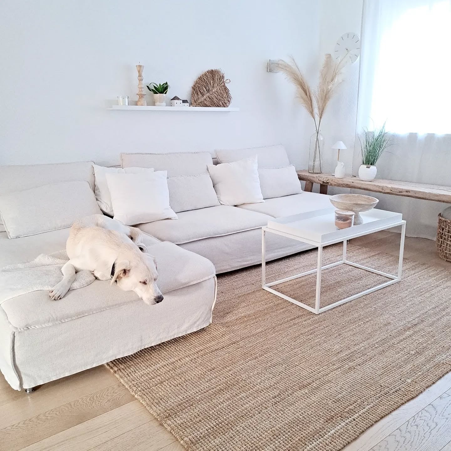 18. Coastal Simplicity with Organic Touches (White Living Room Ideas)