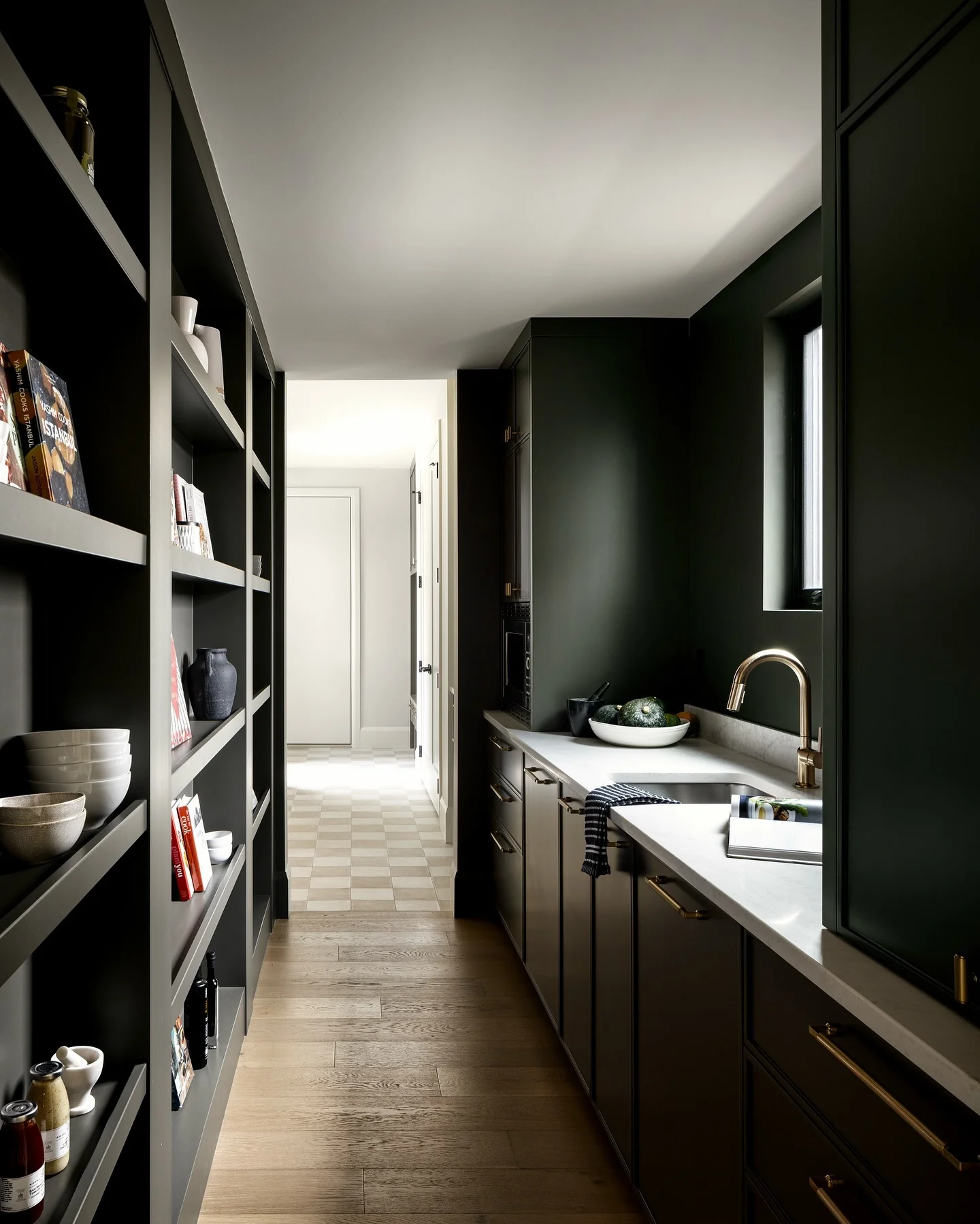 13. Moody Galley with Brass Highlights (Black Cabinets Kitchen Ideas)