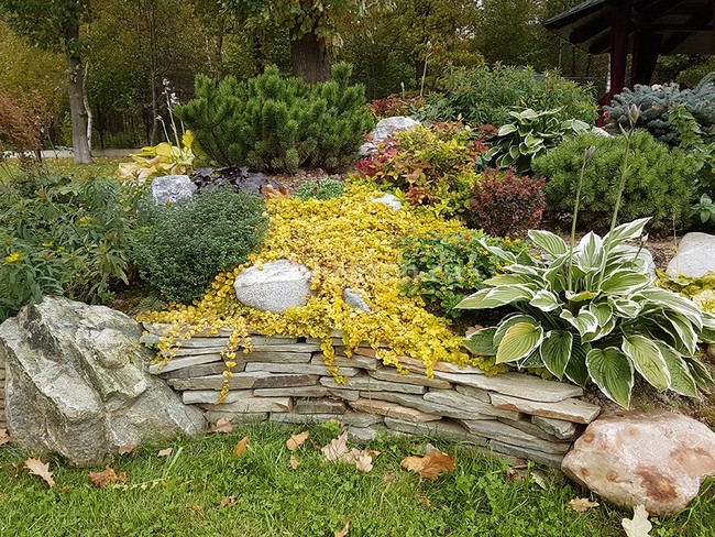 Beaux parterres de fleurs près de la maison
