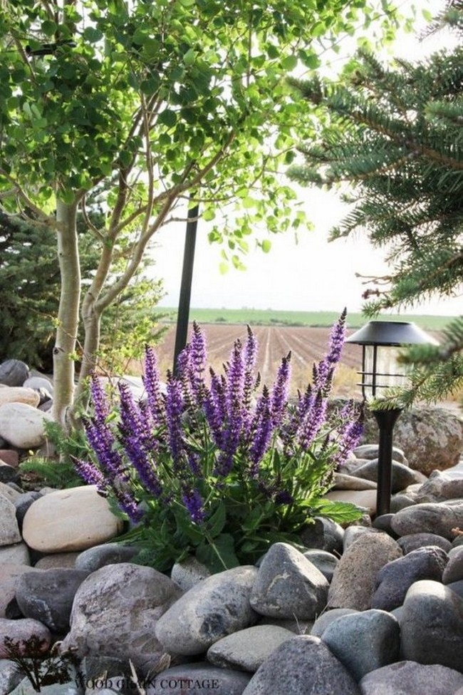 Beaux parterres de fleurs près de la maison