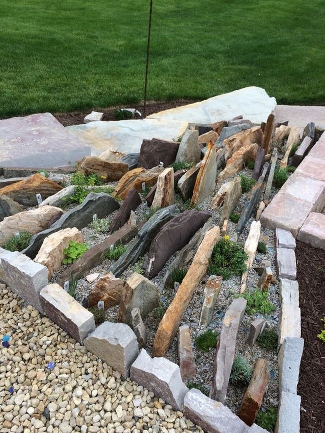 Beaux parterres de fleurs près de la maison