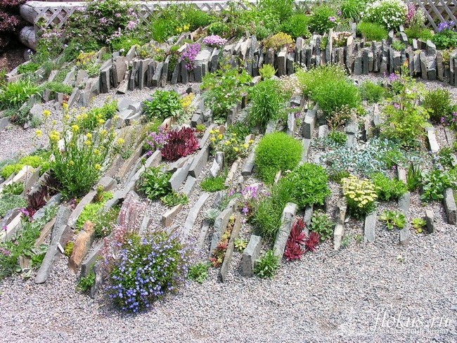 Beaux parterres de fleurs près de la maison