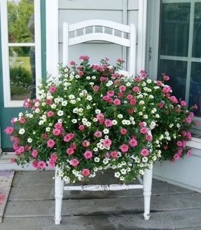 Beaux parterres de fleurs près de la maison