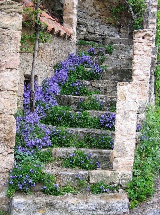 Beaux parterres de fleurs près de la maison