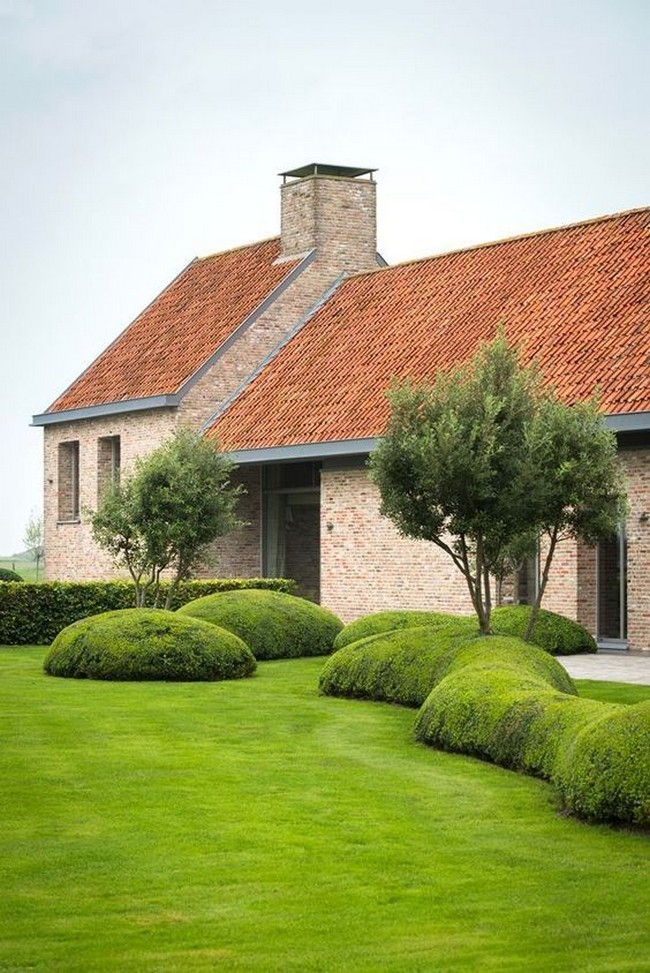 conception de cour de maison privée