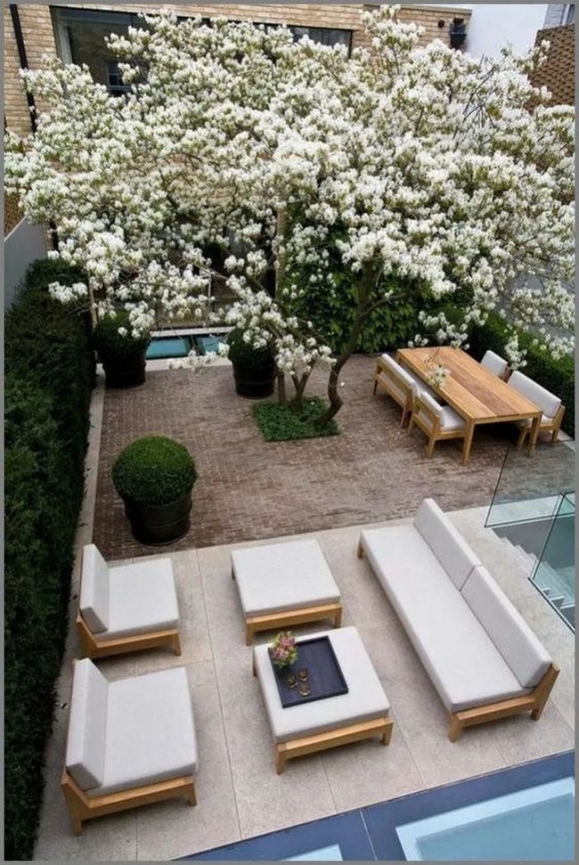 conception de cour de maison privée