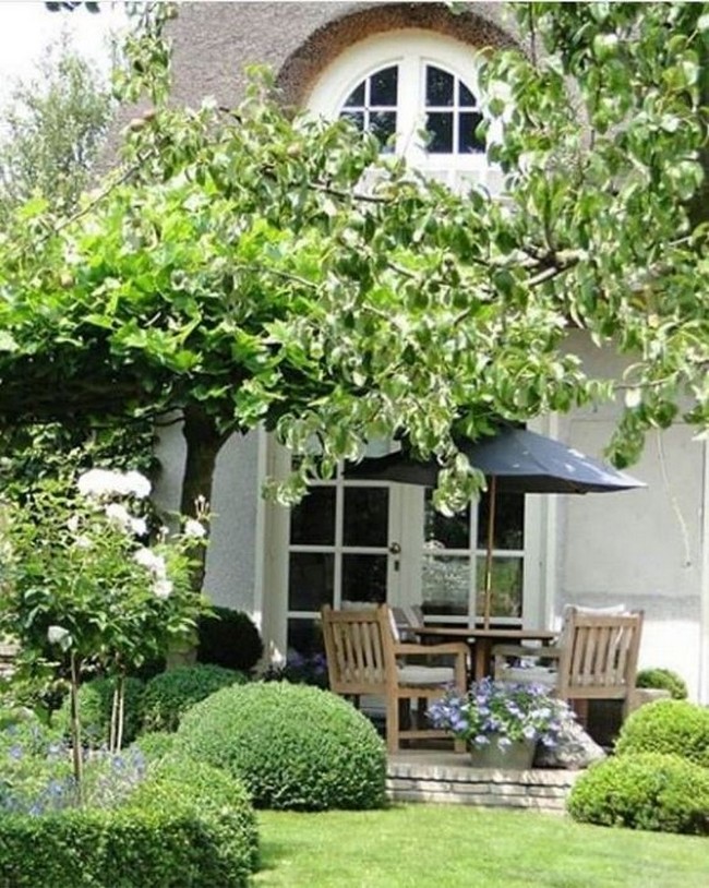 conception de cour de maison privée