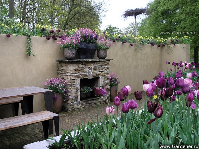 conception de site près de la maison