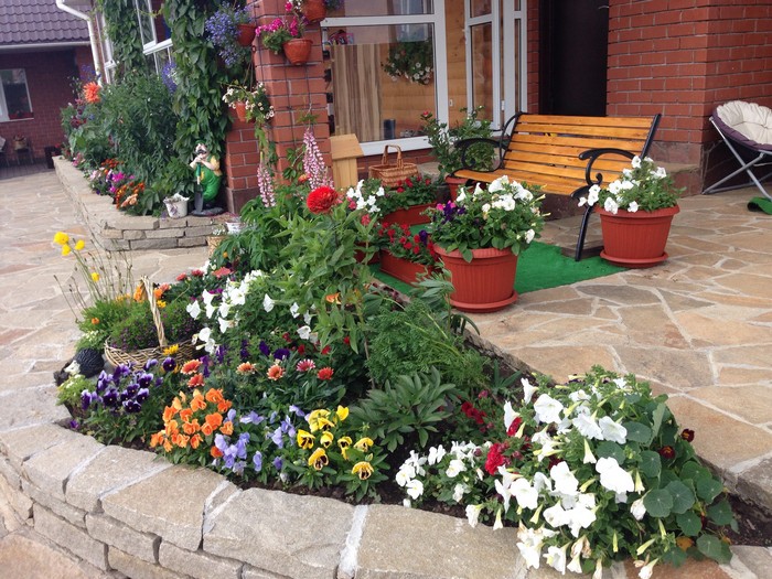 conception de site près de la maison