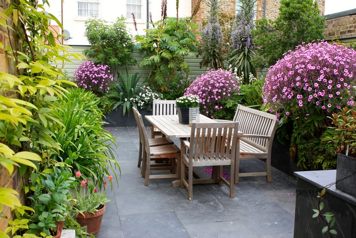 conception de site près de la maison