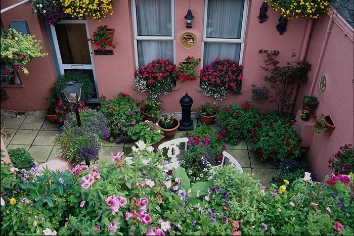 conception de site près de la maison