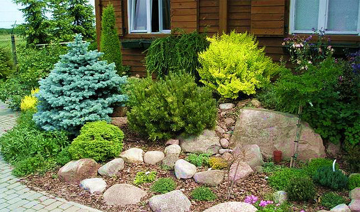 Aménagement paysager du terrain devant la maison