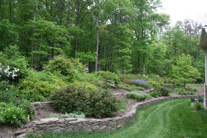 Aménagement paysager du site