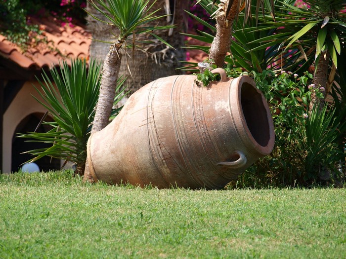parterres de fleurs à la campagne