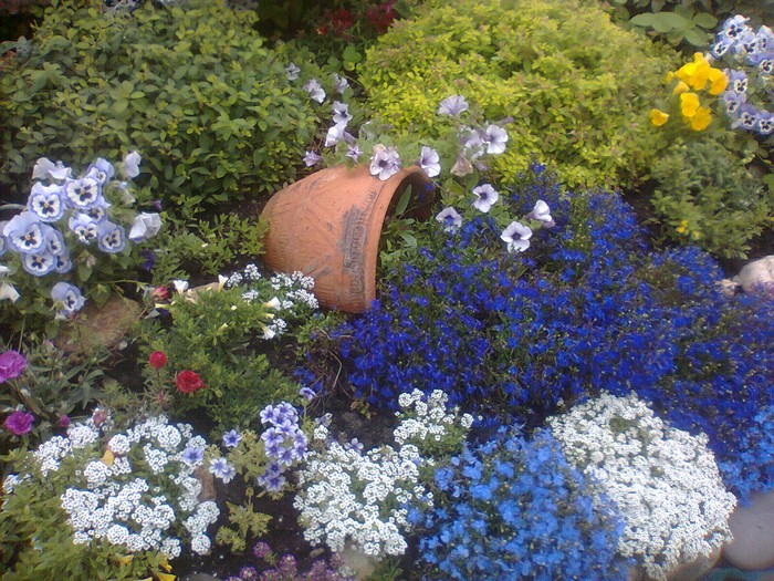 parterres de fleurs à la campagne