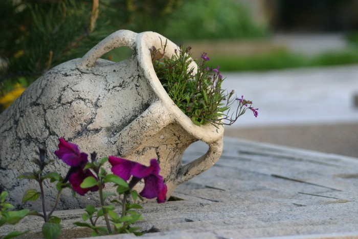 parterres de fleurs à la campagne