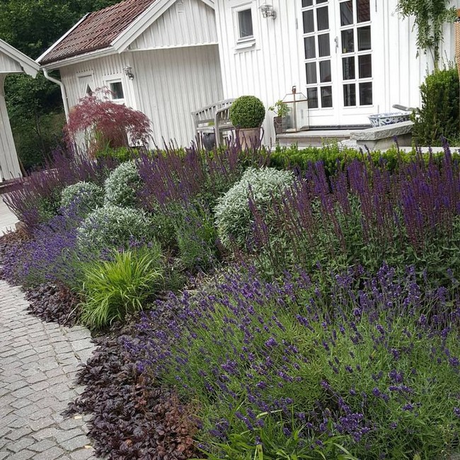 Aménagement de jardin