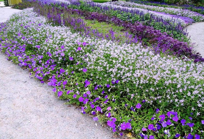 Aménagement de jardin