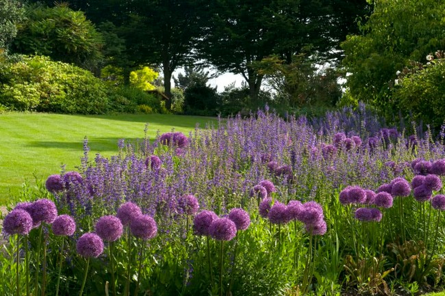 Aménagement de jardin