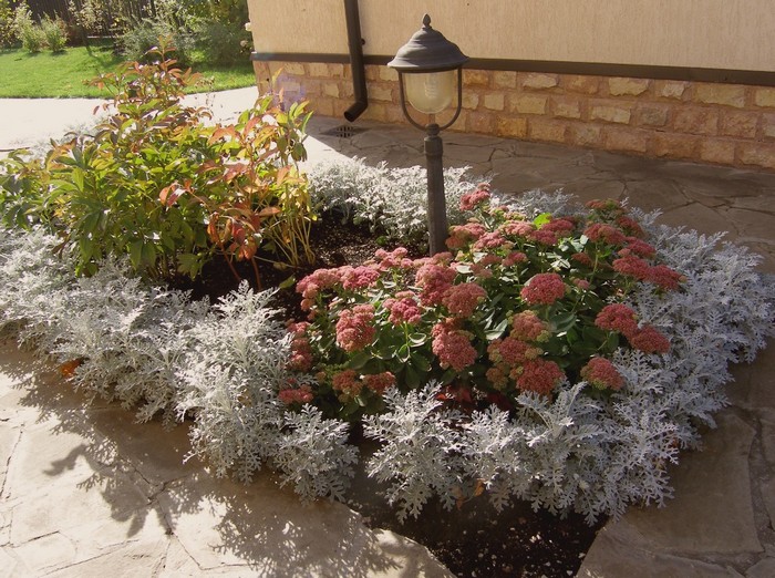 Conception de parterre de fleurs