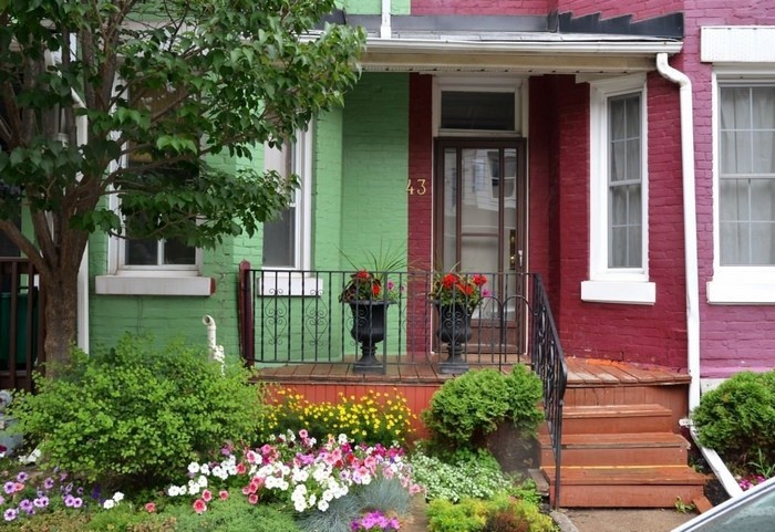 Conception de jardin de fleurs
