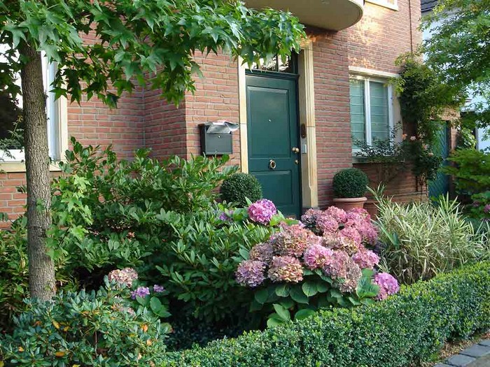 Conception de jardin de fleurs