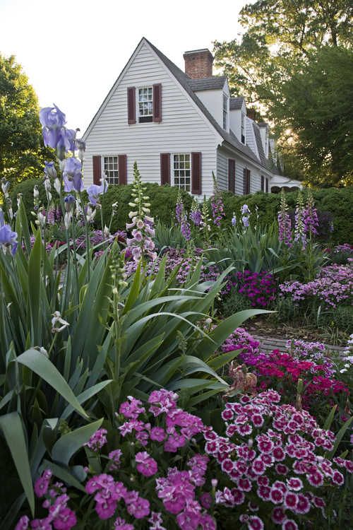 Jardin fleuri près de la maison