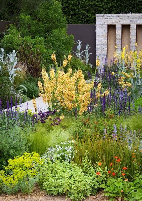 Jardin fleuri près de la maison