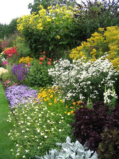 jardin fleuri près de la maison