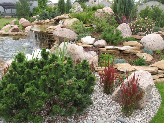 Conception d'un site avec un pin de montagne