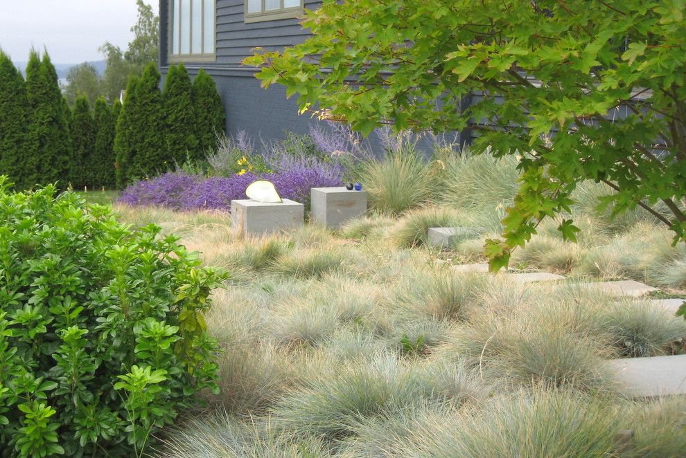 Graminées ornementales