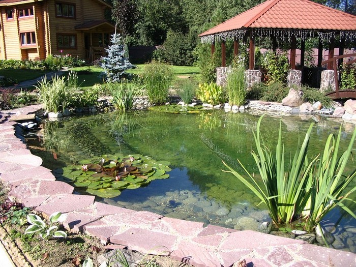 Aménagement paysager d'une parcelle de jardin