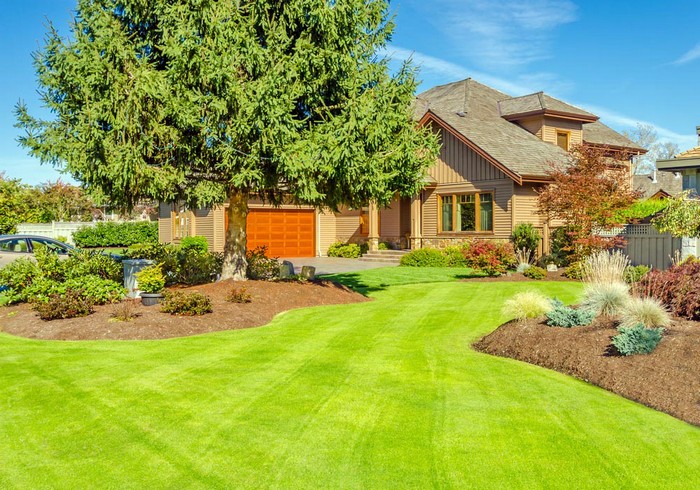 Aménagement paysager d'une parcelle de jardin