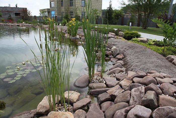 Aménagement paysager du site au bord de l'étang