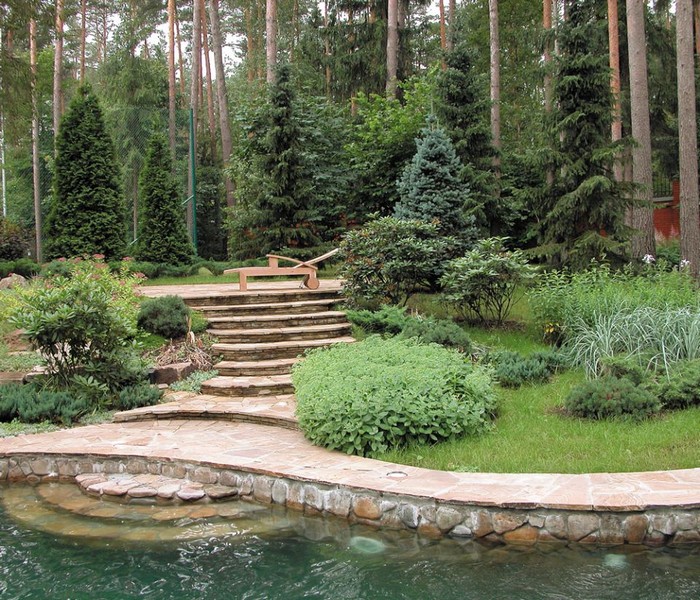 Aménagement paysager du site au bord de l'étang