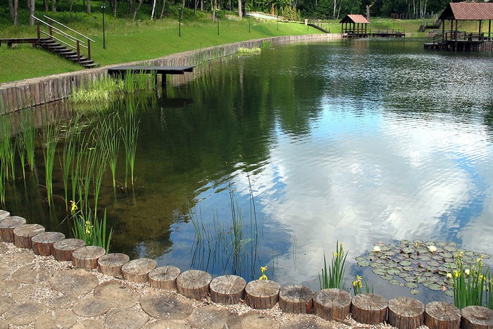 Aménagement paysager du site au bord de l'étang