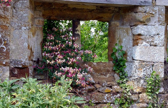 Conception de jardin