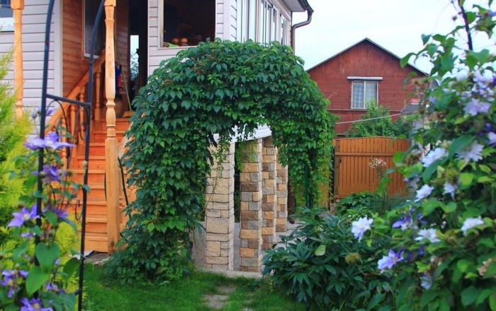 Raisins de fille dans l'aménagement paysager