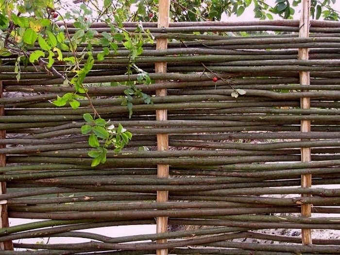 Clôture en osier
