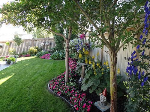 Jardin fleuri le long de la clôture