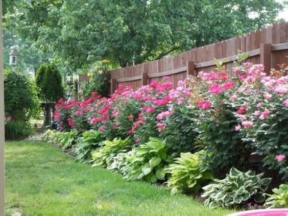 Jardin fleuri le long de la clôture