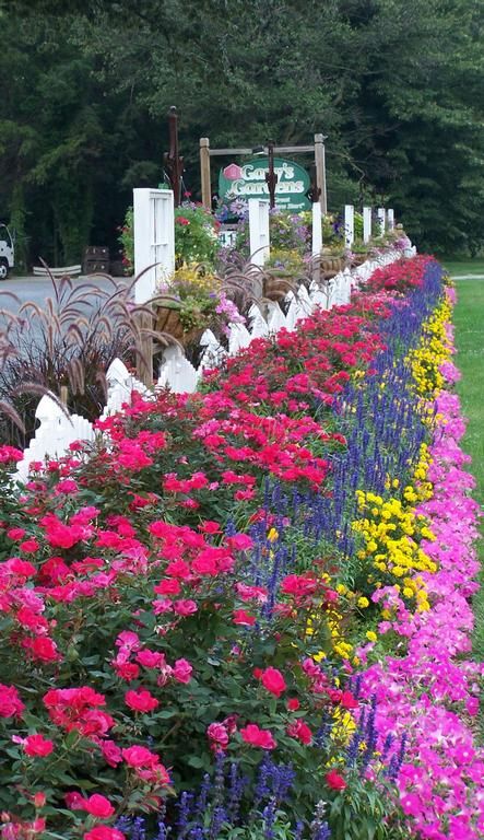 Jardin fleuri le long de la clôture
