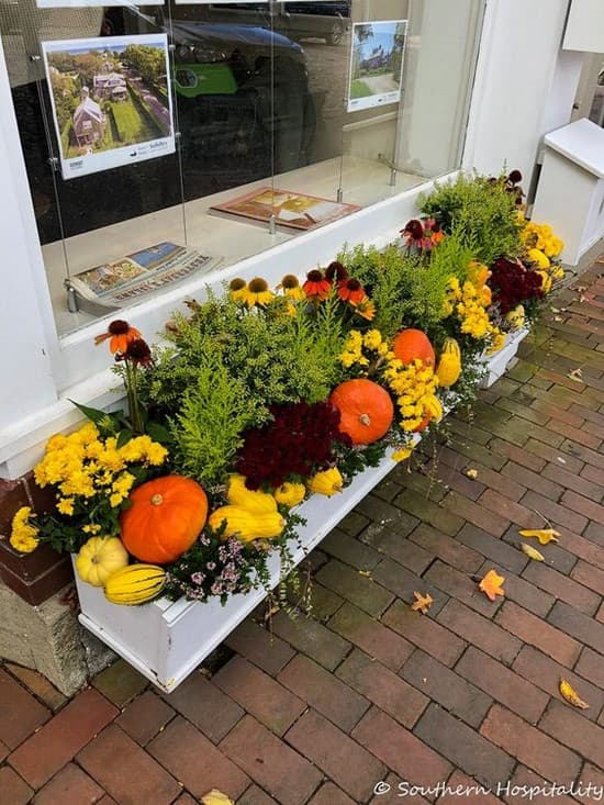 décor de cour de maison privée