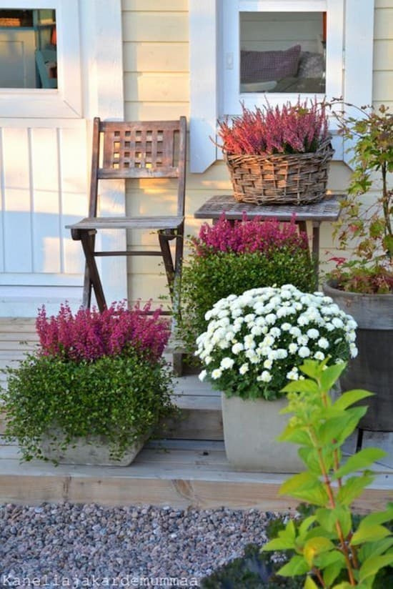 décor de cour de maison privée