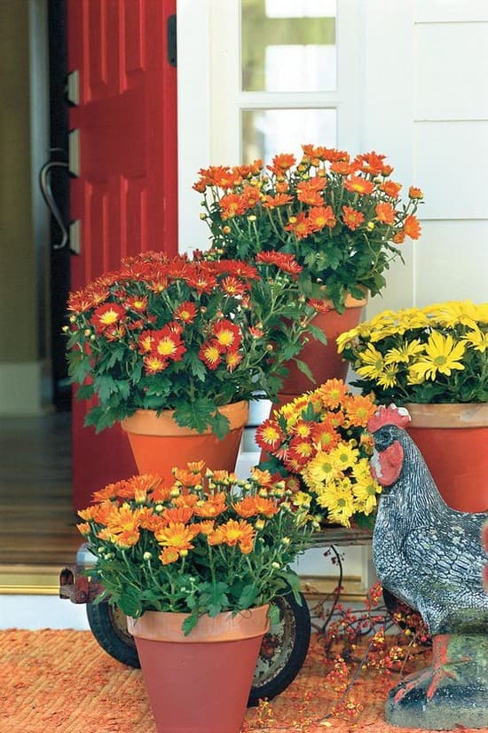 décor de cour de maison privée