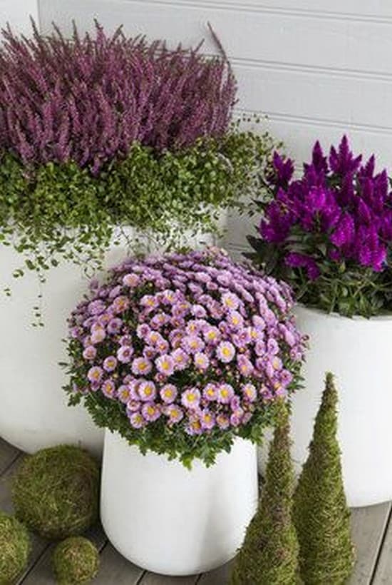 décor de cour de maison privée