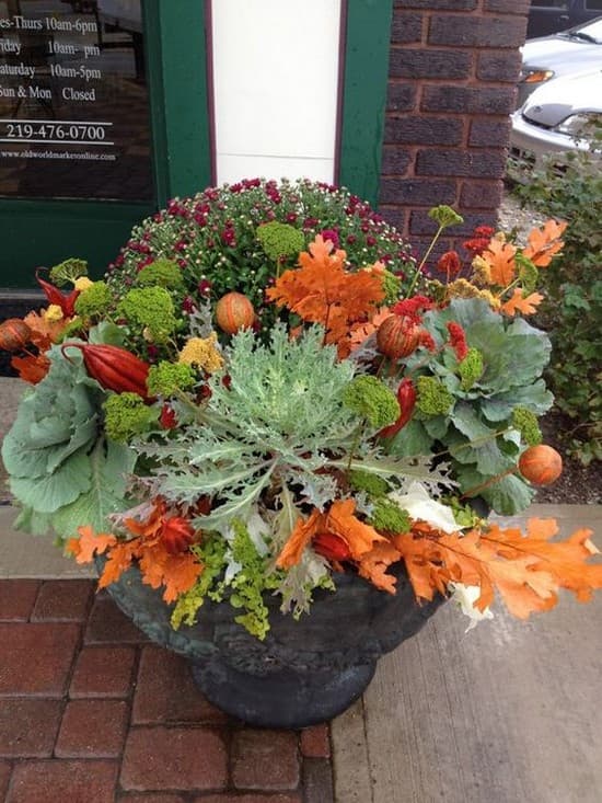 des fleurs à la campagne